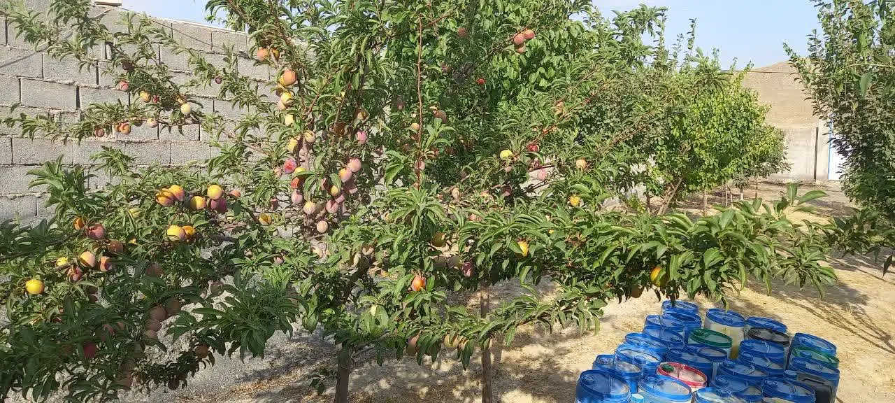 زمین چهار دیواری ب همراه اتاق ۳۰متری
