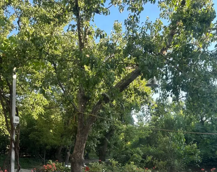 فروش باغ خیابان مهندسی زراعی