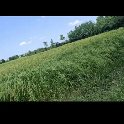 خانه محوطه به همراه شالیزار کوچصفهان