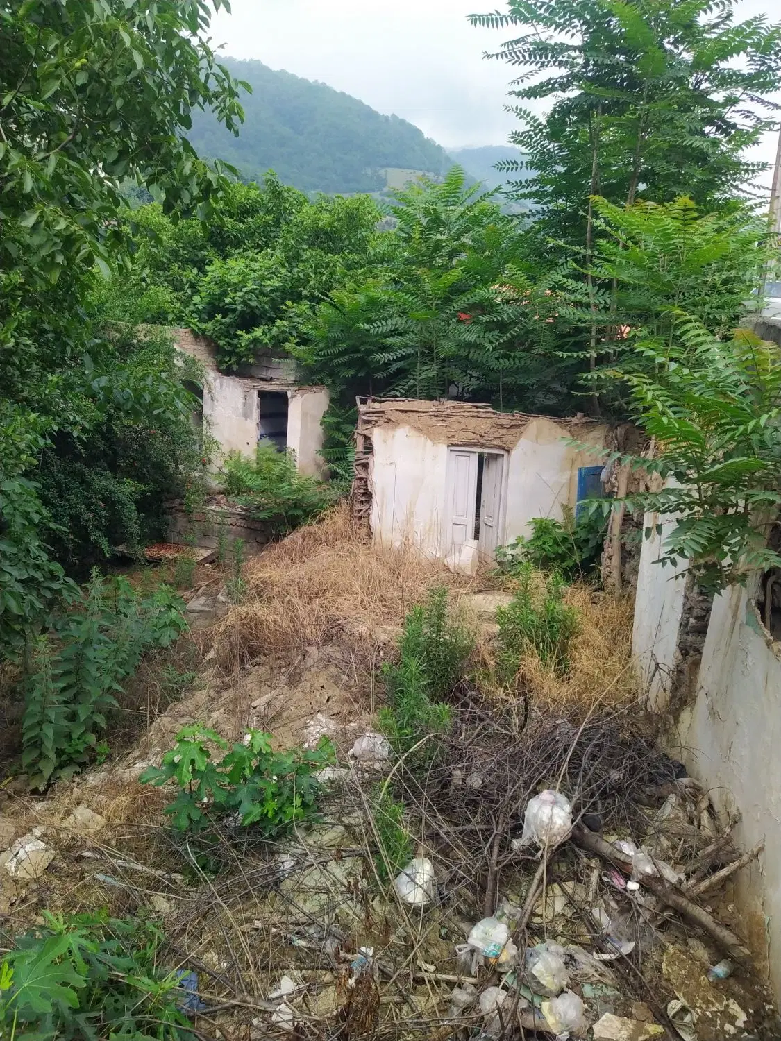 فروش زمین