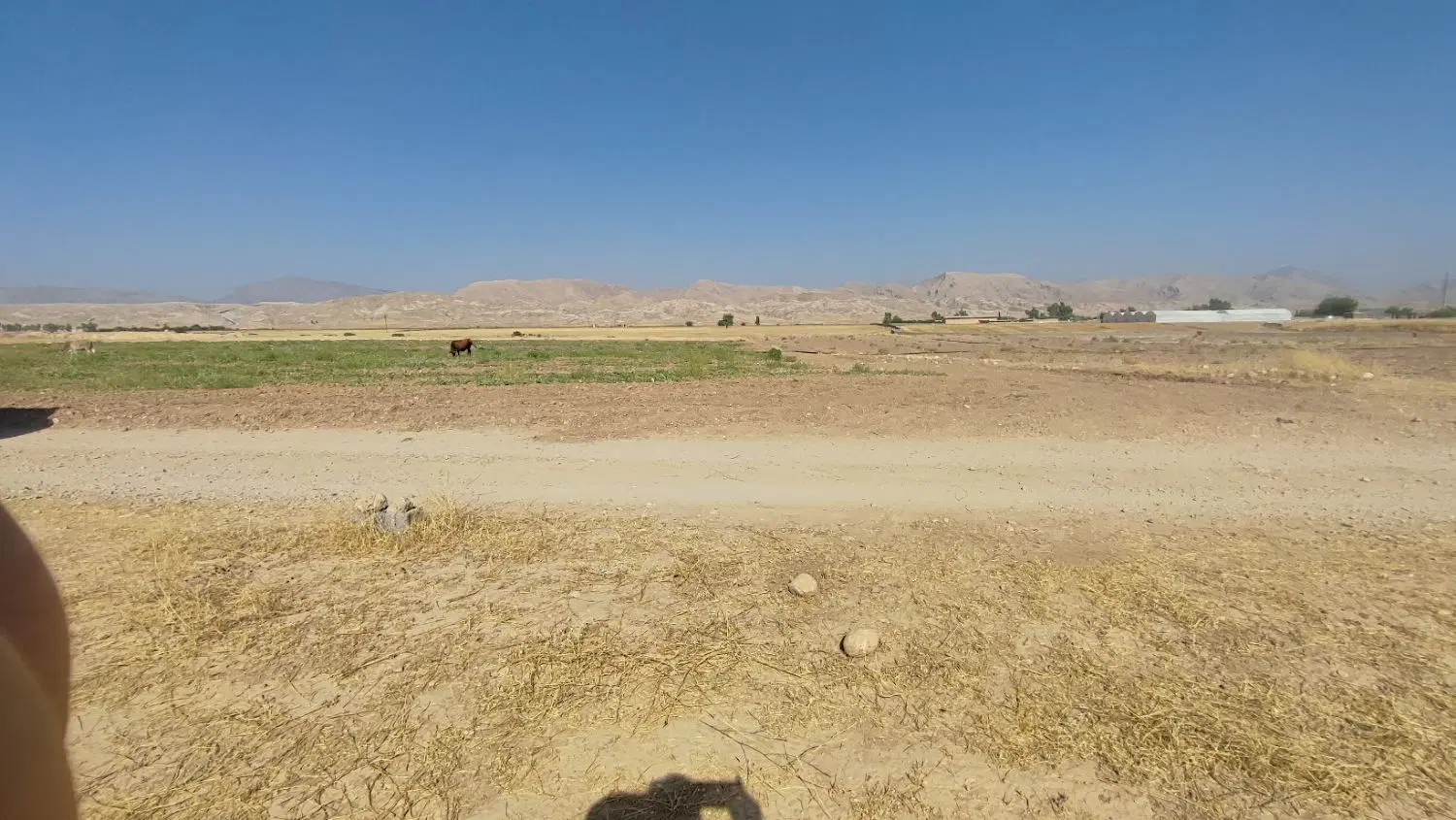 زمین نوترکی روستای غریبی ها
