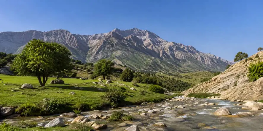 با سلام زمین