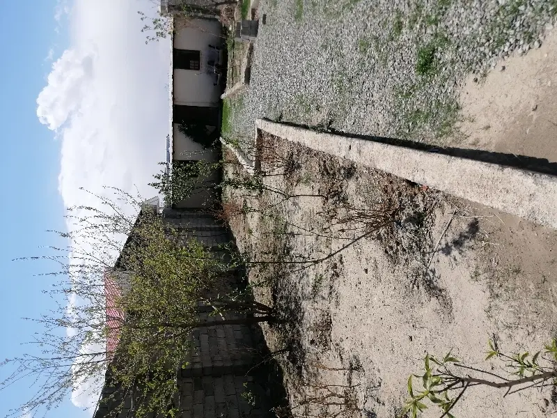 باغچه حصار مهتر