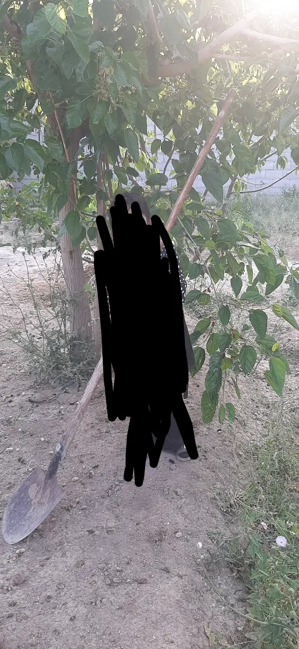 باغ بکر و محلی در گل مینا کهریزسنگ