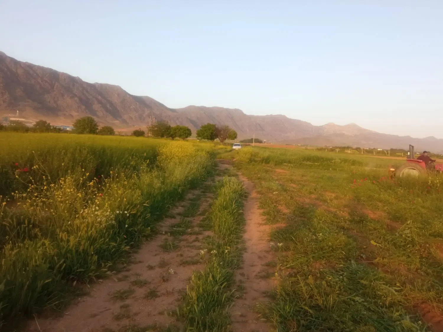 زمین آبی کمالوند سرچاه