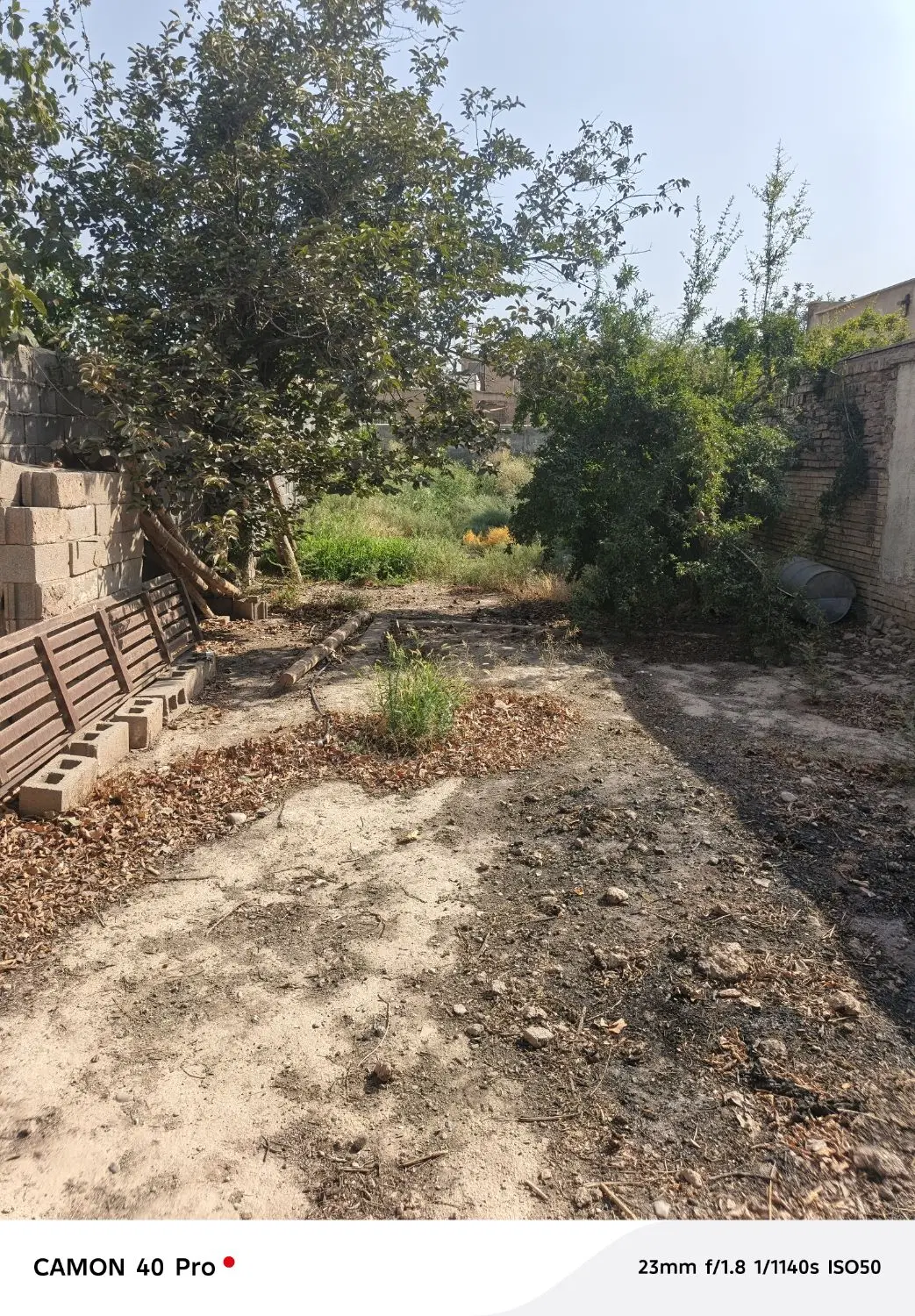 زمین 208متر