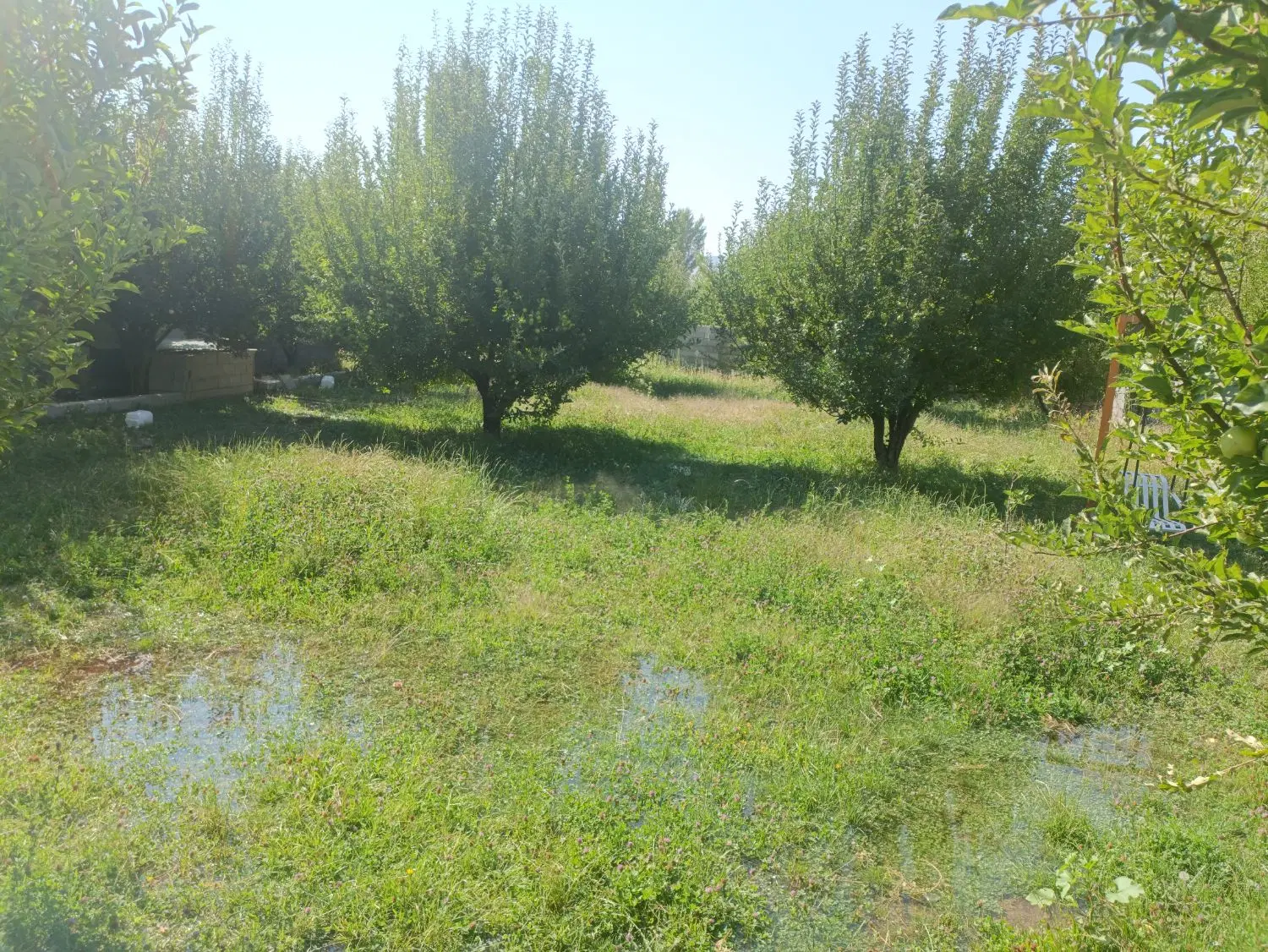 زمین در طرح صمیمی