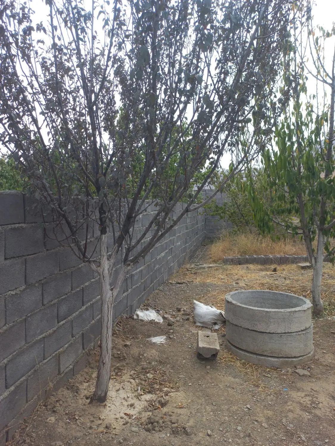 باغ حیدره بالای شهر