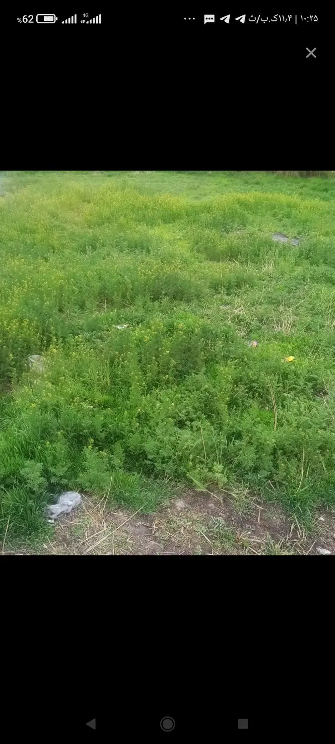 زمین در روستای قراجلر
