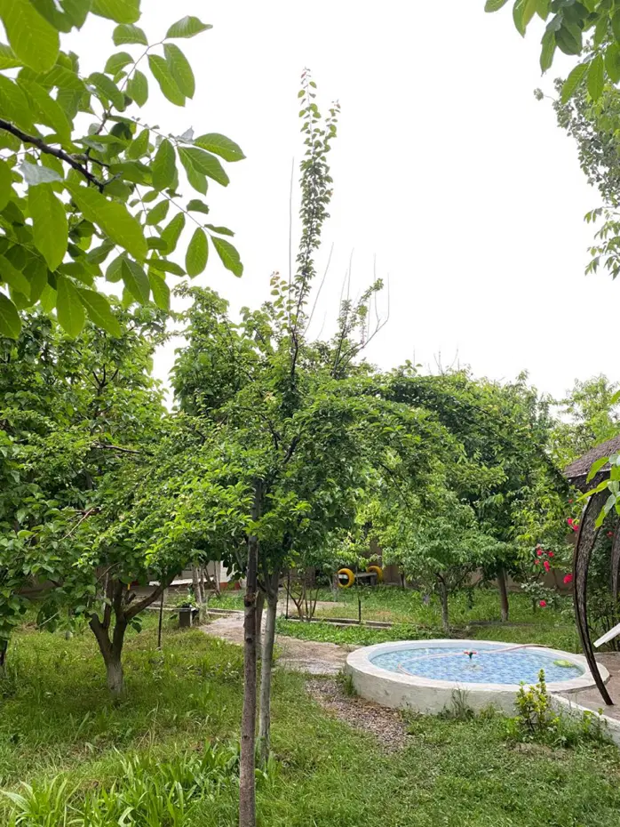 باغبه ابعاد۱۱۵۰متر در چشمه گیلاس روستای گناباد