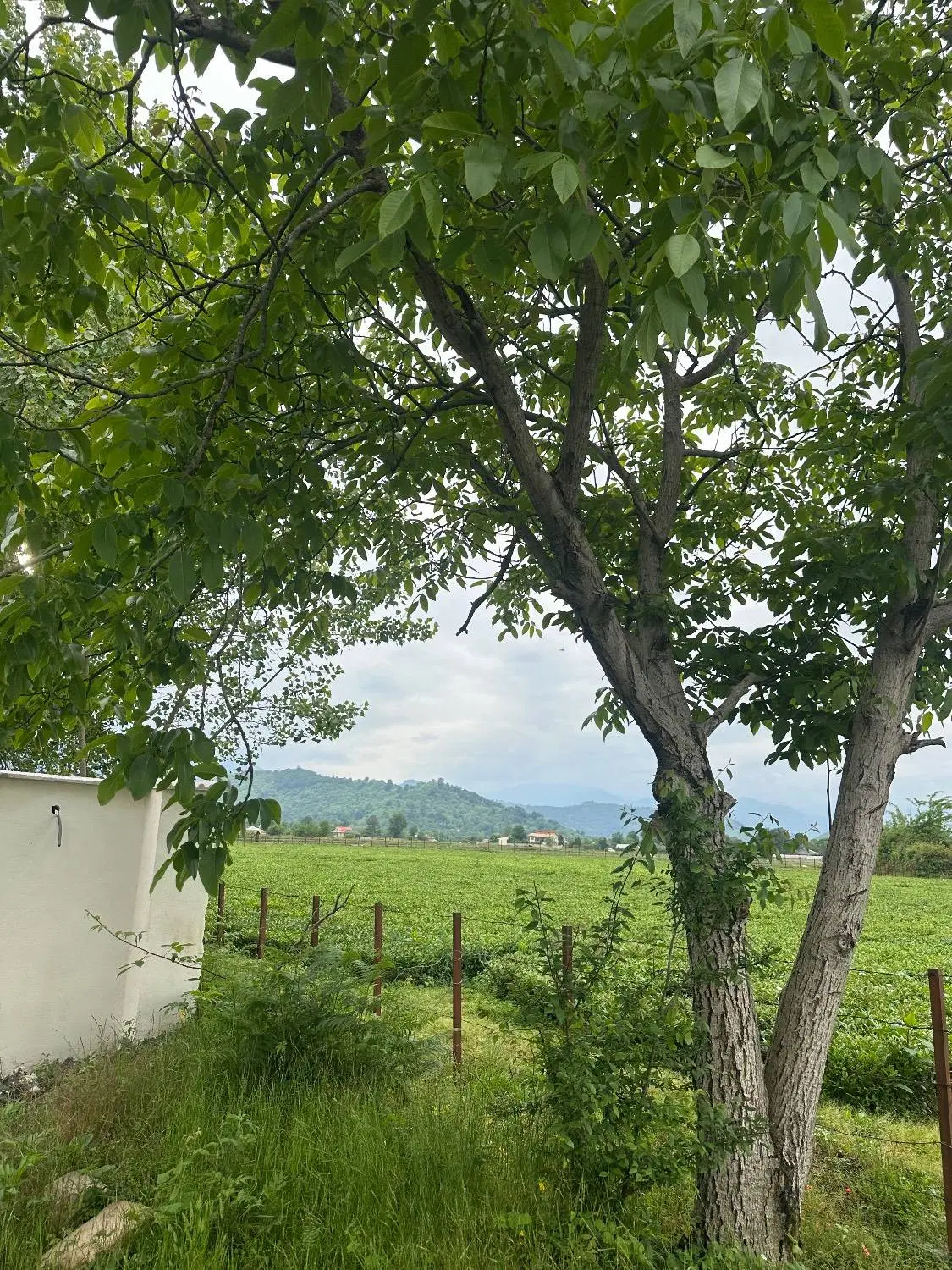 ویلا سویسی