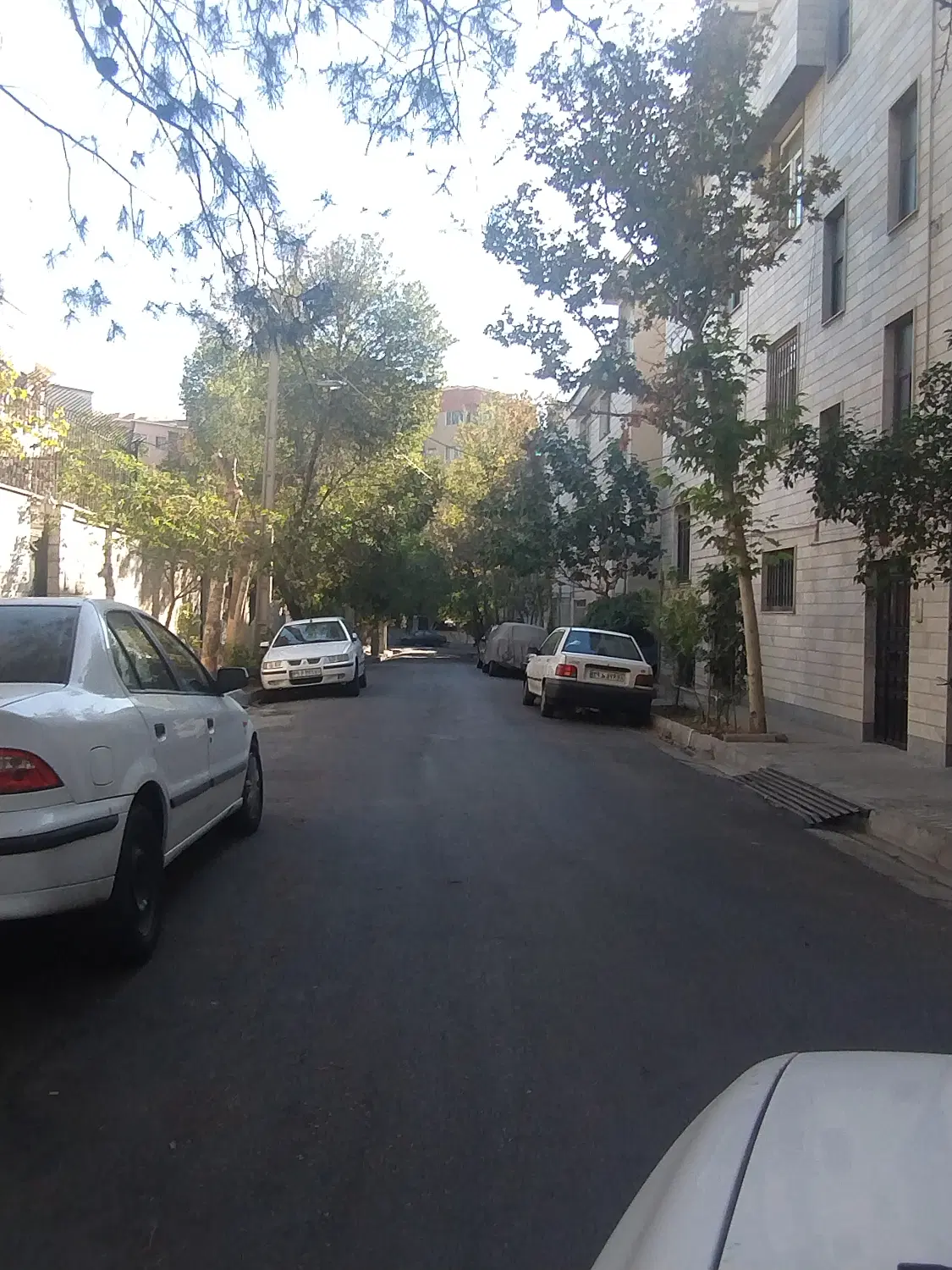 فروش 231 متر کلنگی شمال مرزداران