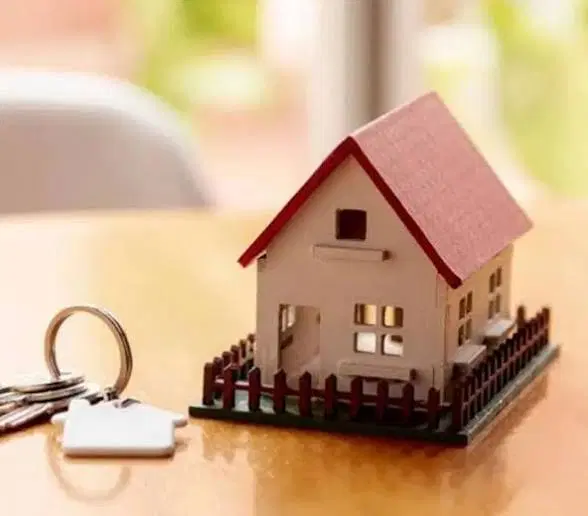 فروش فوری زمین ۲۵۷ متری تاپ لوکیشن میرزای شیرازی