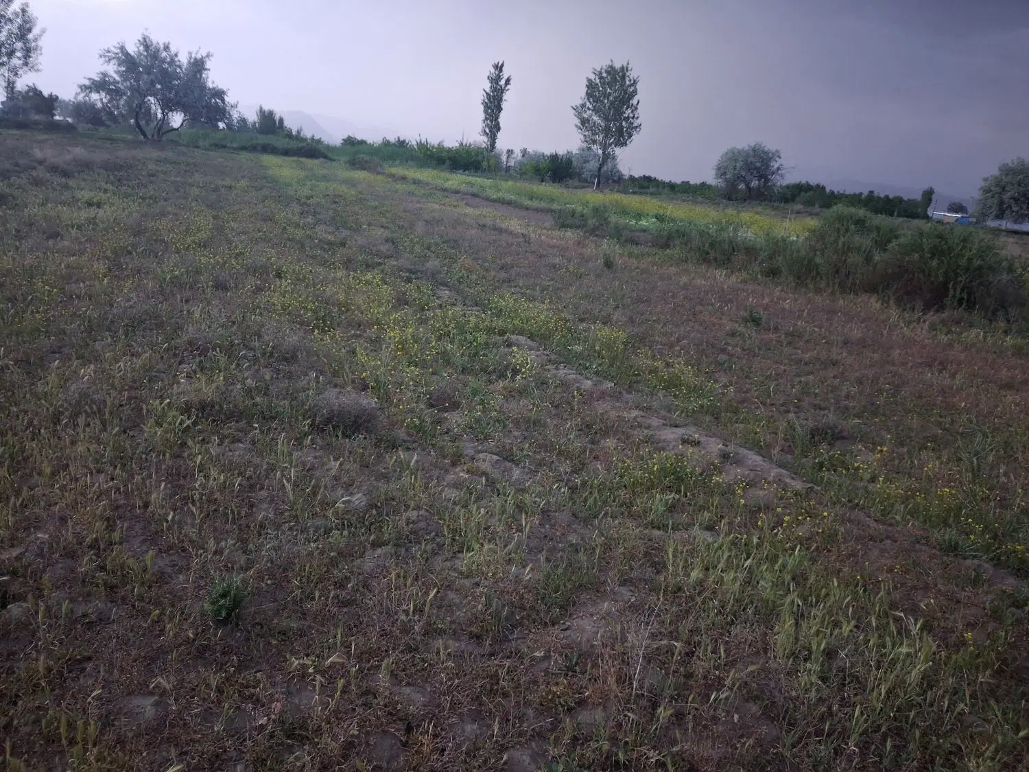 زمین جای مناسب برای باغ ویلایی