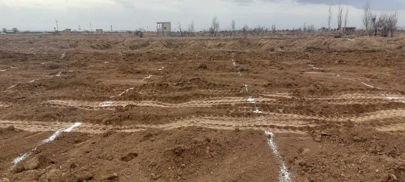زمین باغی