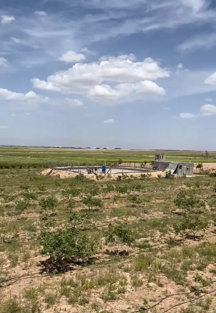 باغ پسته