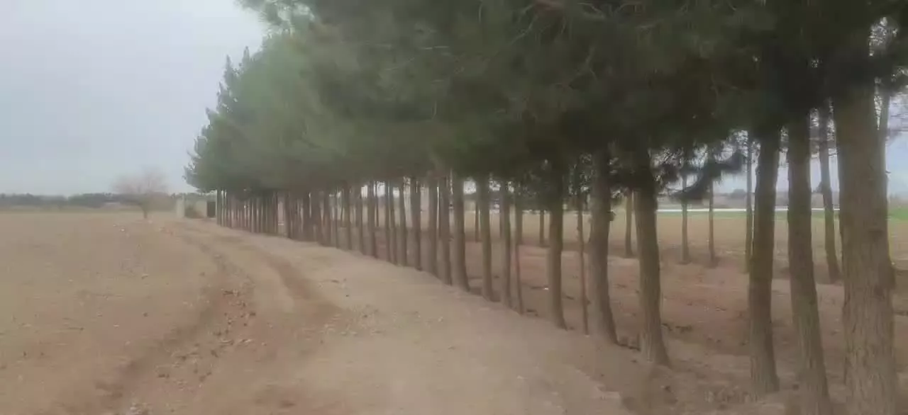 ۲۰۰۰ متر زمین برای سرمایه گذاری