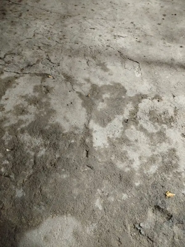 فروش یک قطعه زمین مسکونی روستای دیناروند