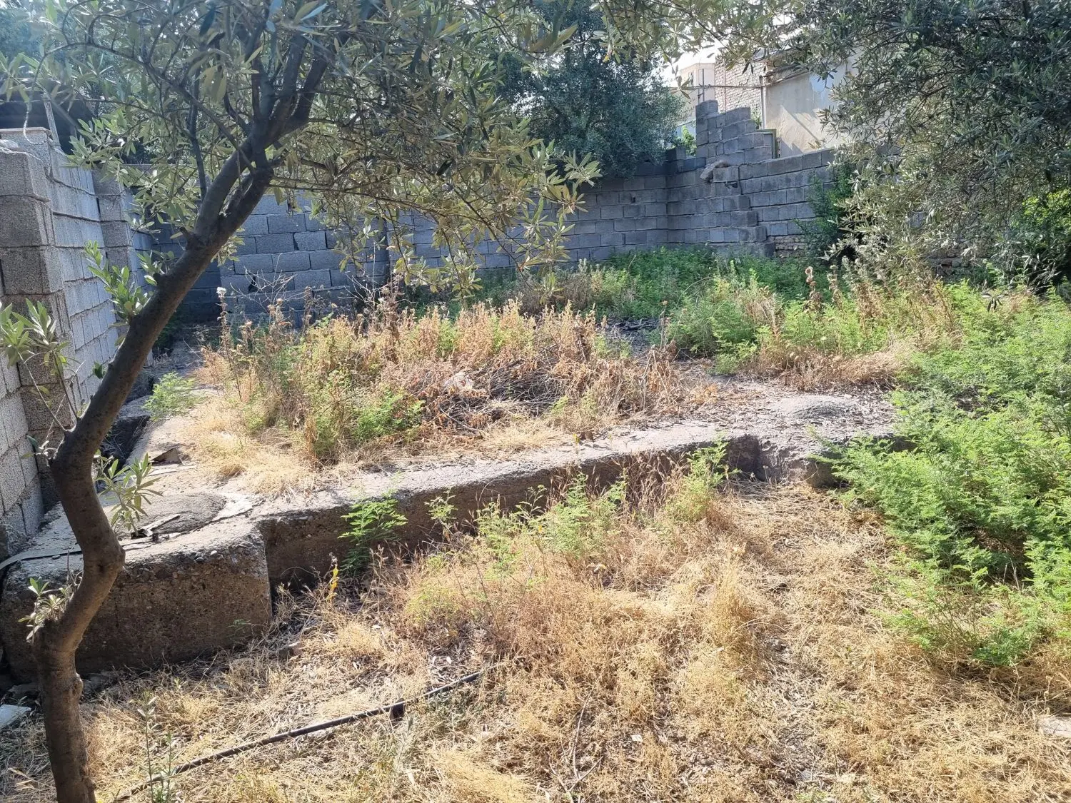 زمین سنددار در شهرک 31خرداد