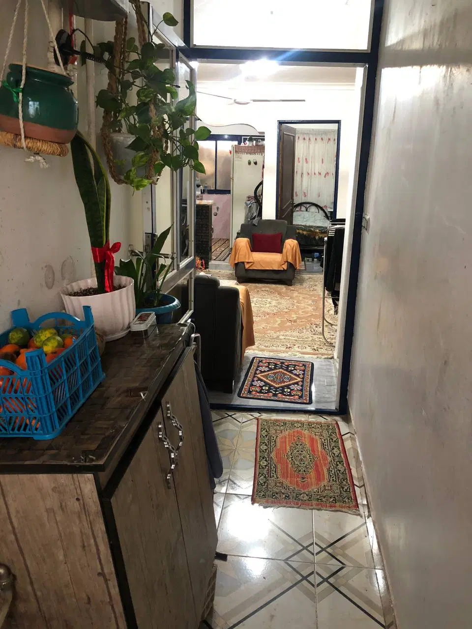 سوئیت ۵۰ متری