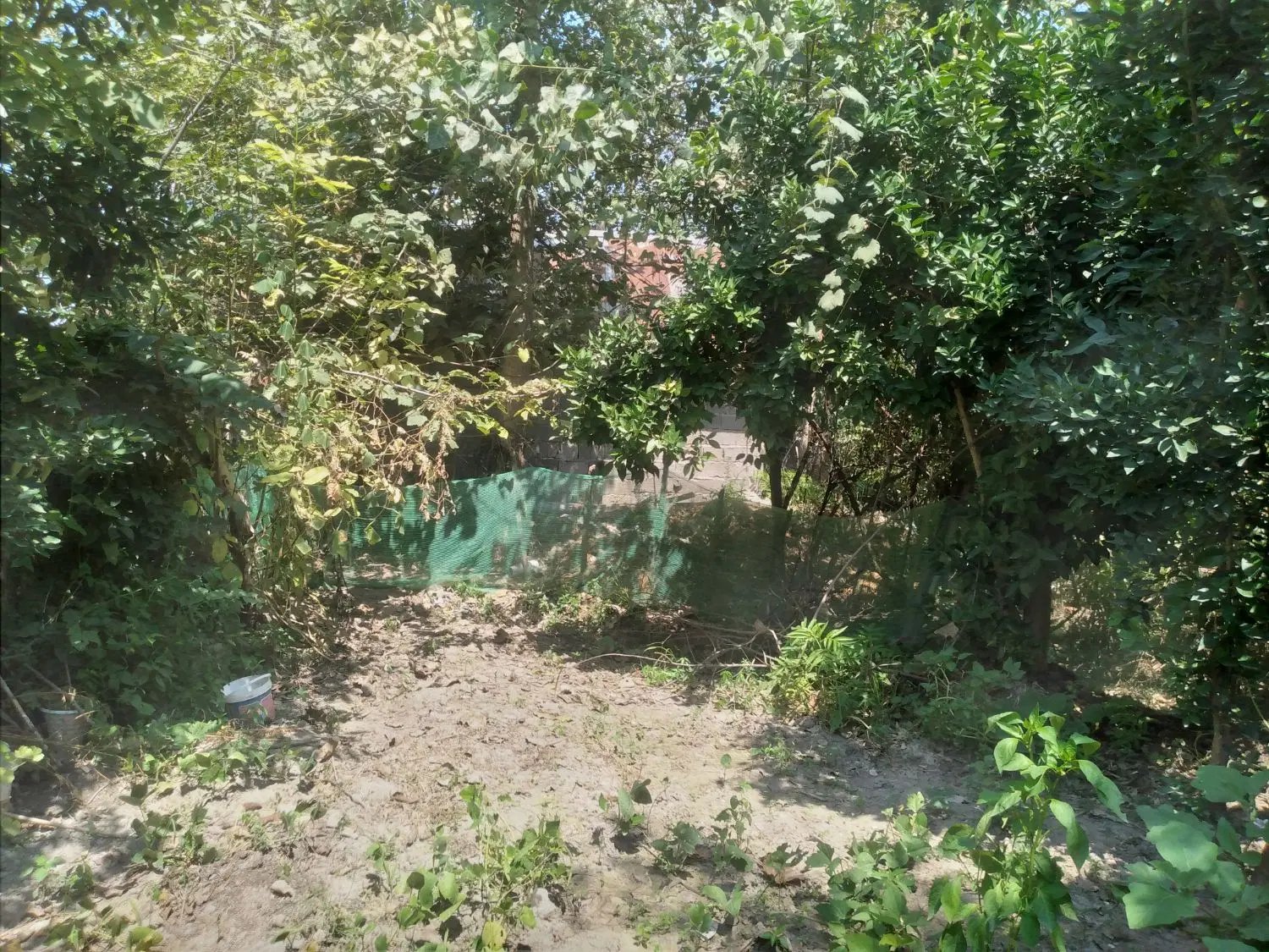 زمین مسکونی