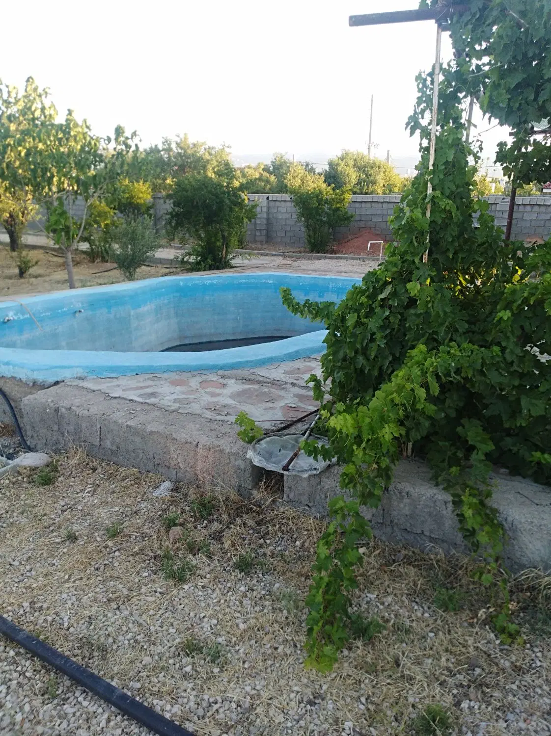 فروش خانه باغ در دارنگون شیراز