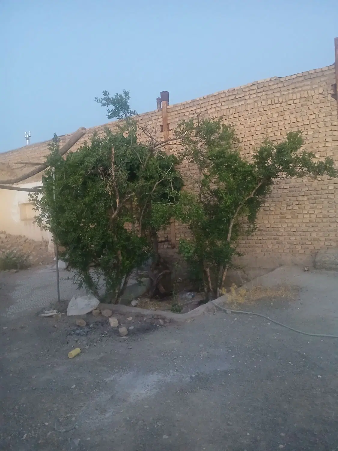 املاک