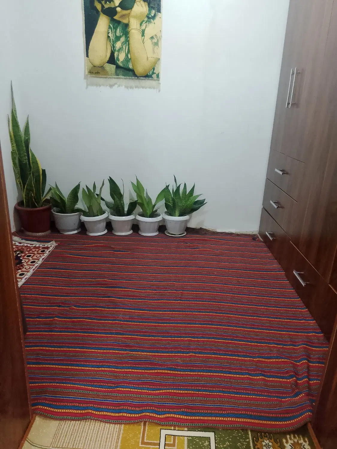 اجاره ویلا در دل جنگل