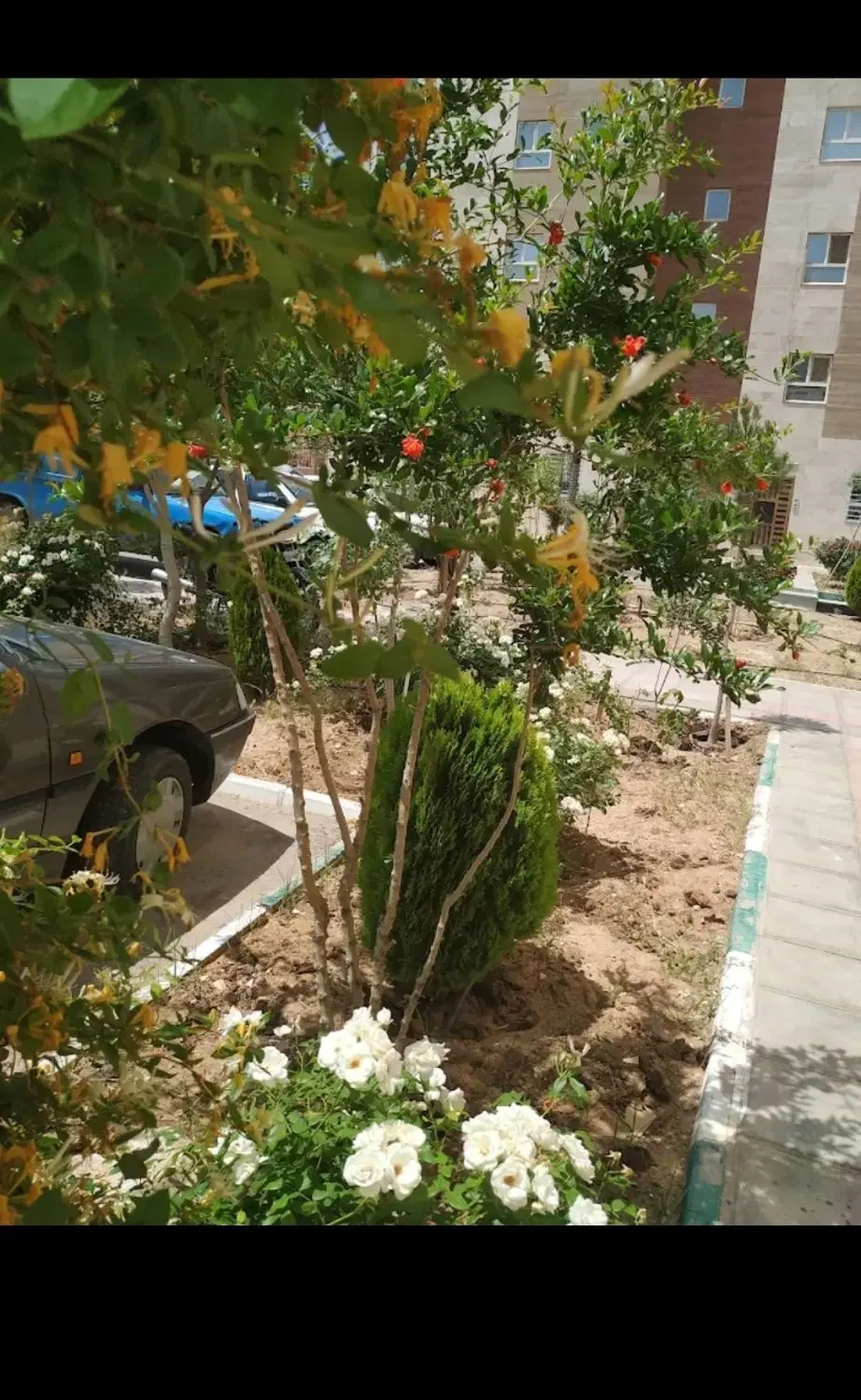 واحد ۹۸ متری در مجتمع سنگبری ها