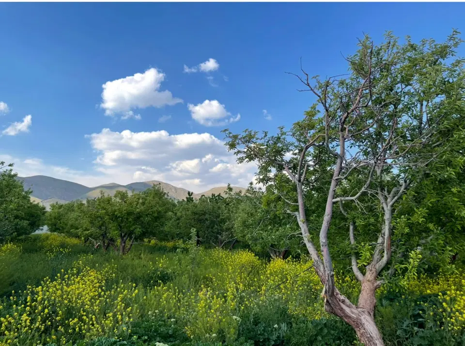 ۴۰۰۰ متر زمین سربندان معاوضه با اپارتمان تهران