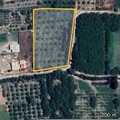 باغ امامزاده طسمالو