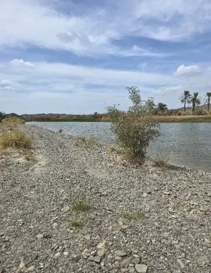 زمین ۲۰۰ متری
