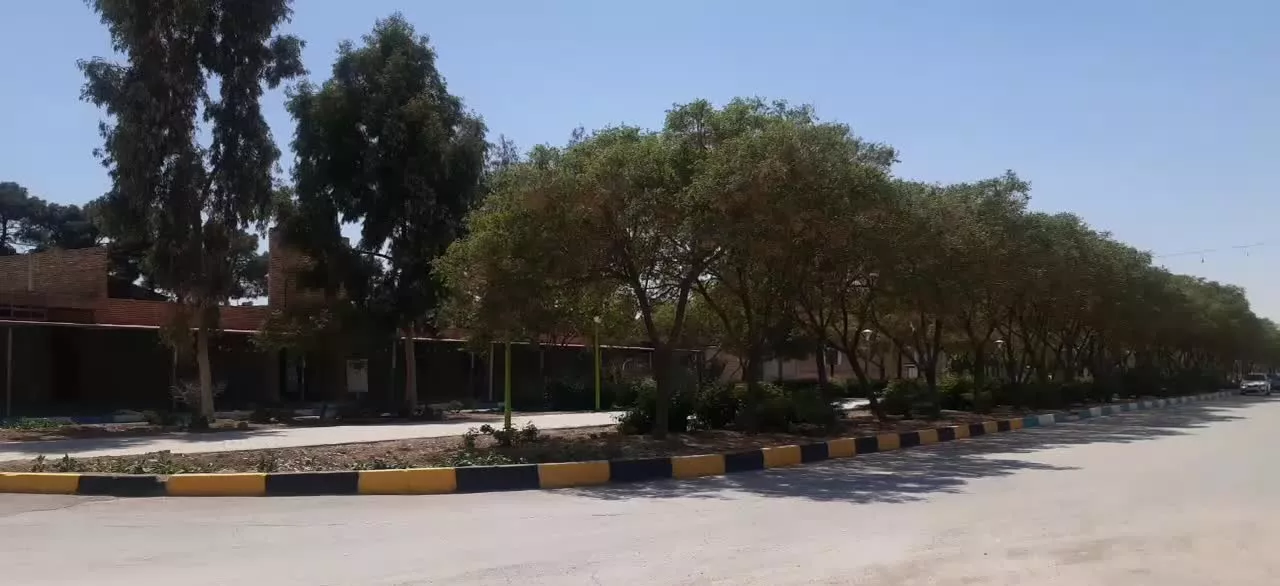 زمین ۱۶۵ متری