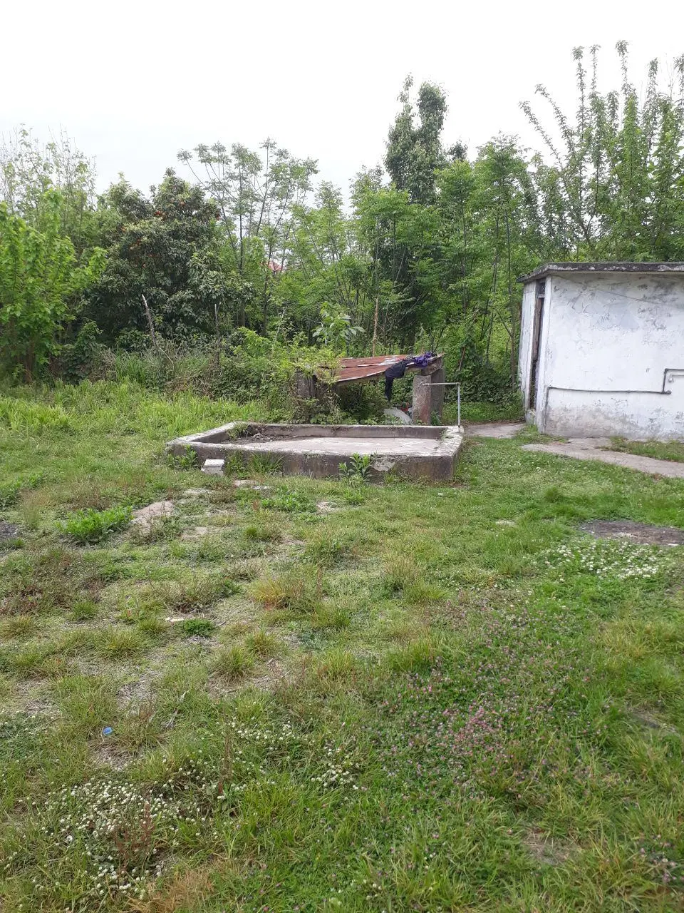 زمین مزایده ای