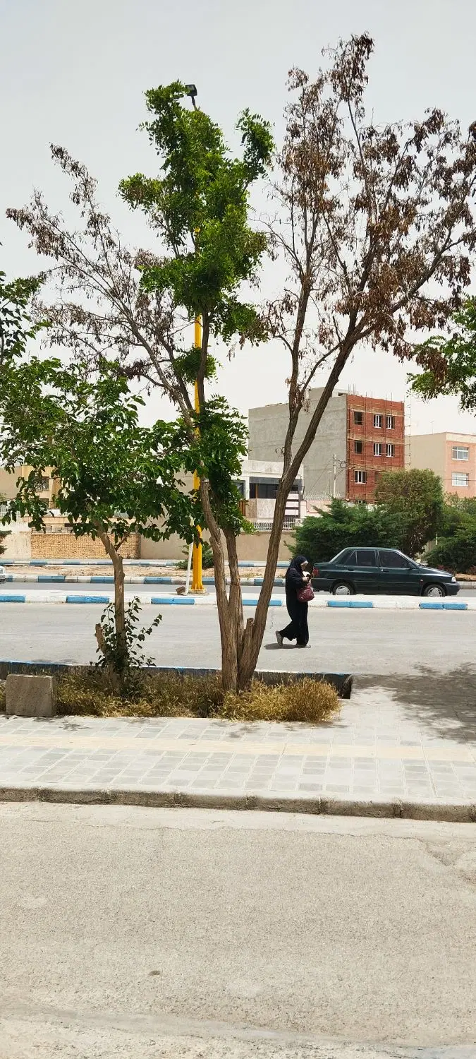 معاوضه ملک شاهین شهر با بویین میاندشت