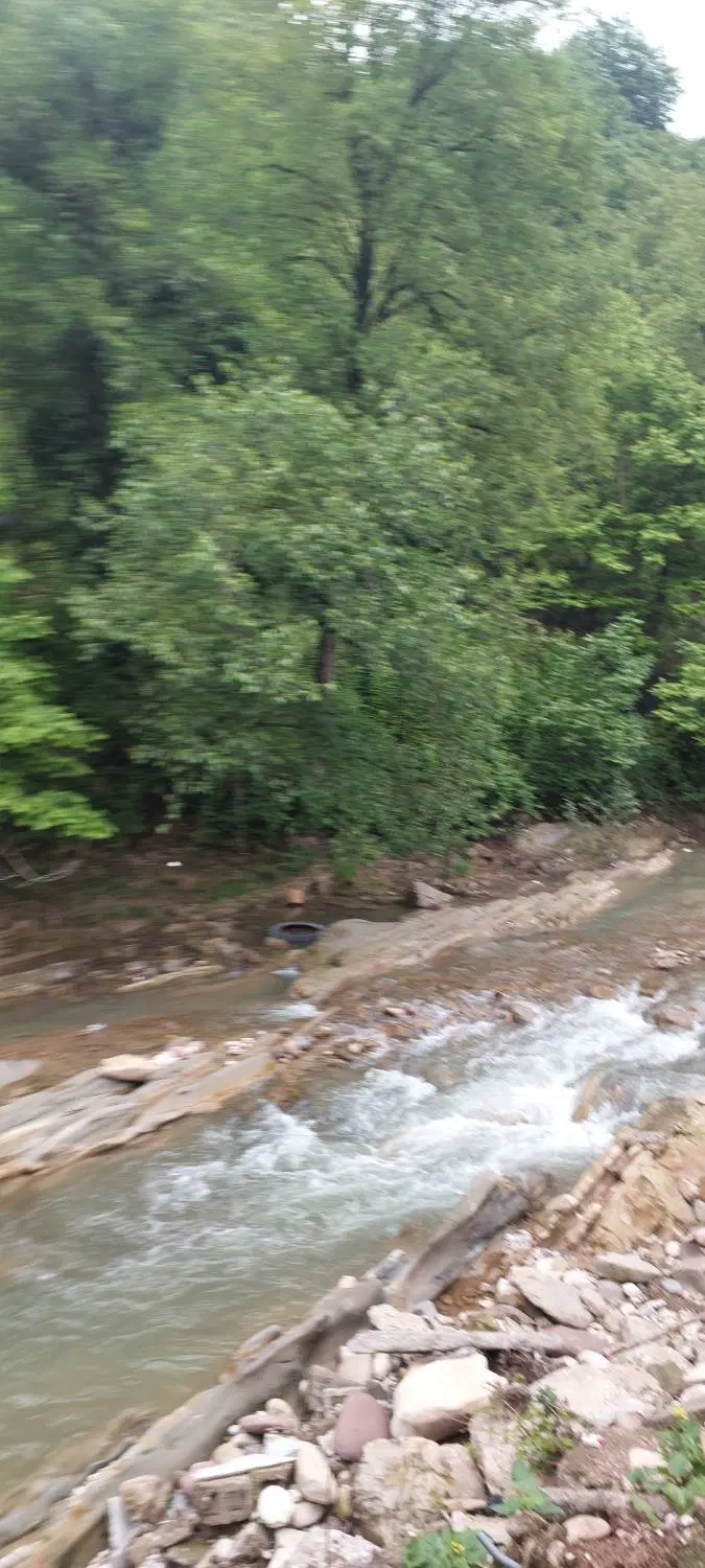 کلنگی
