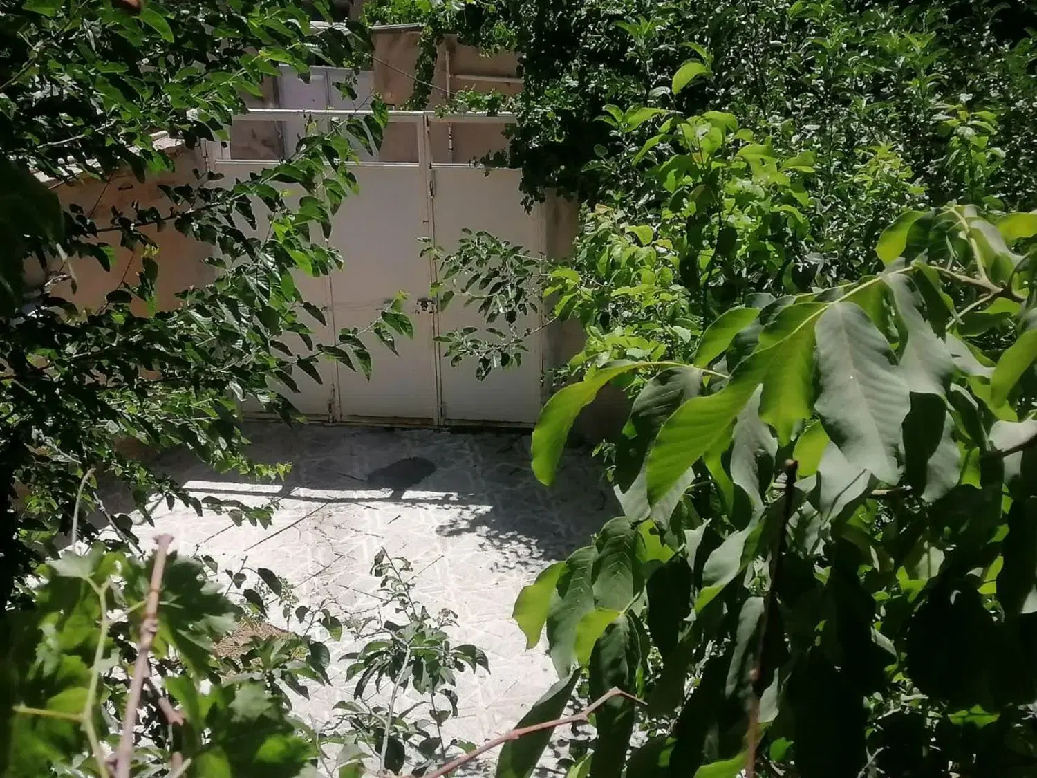 منزل کلنگی