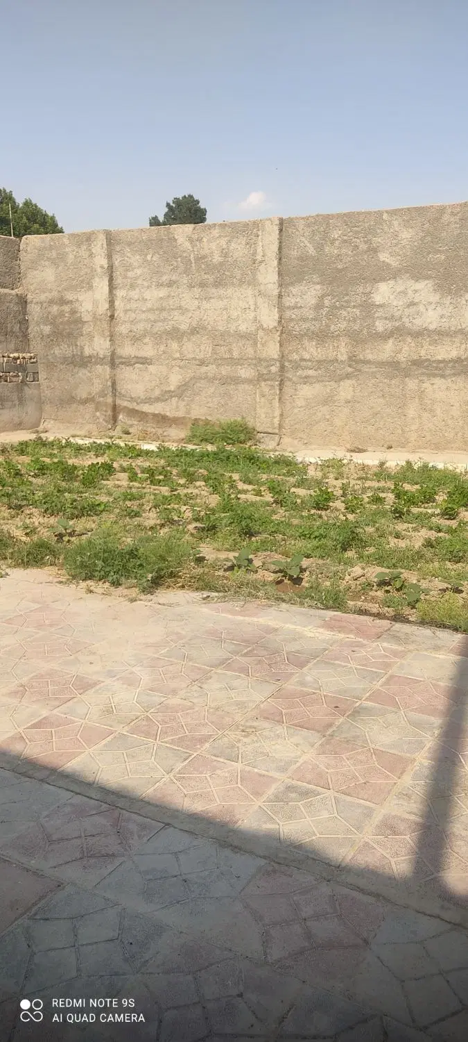 باغچه فروشی