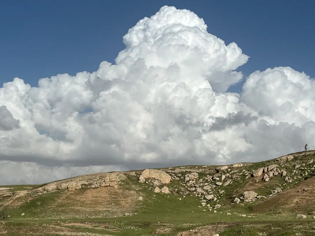 زمین ۱۵۰ متری