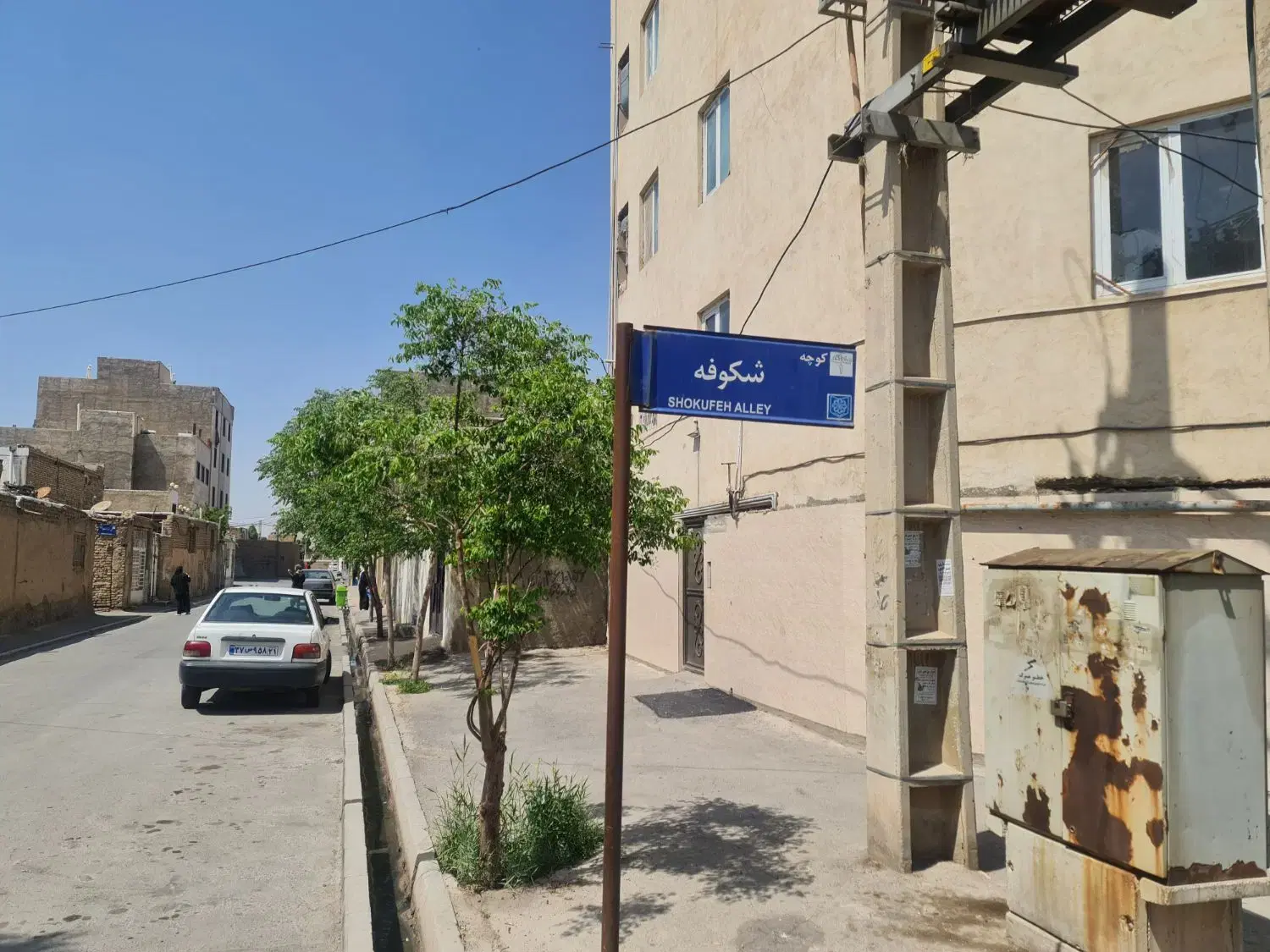یک قطعه زمین ۱۰۰متری