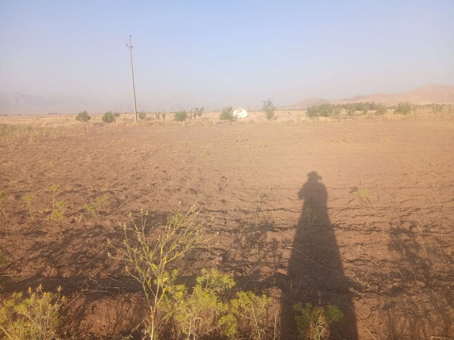 زمین باغی