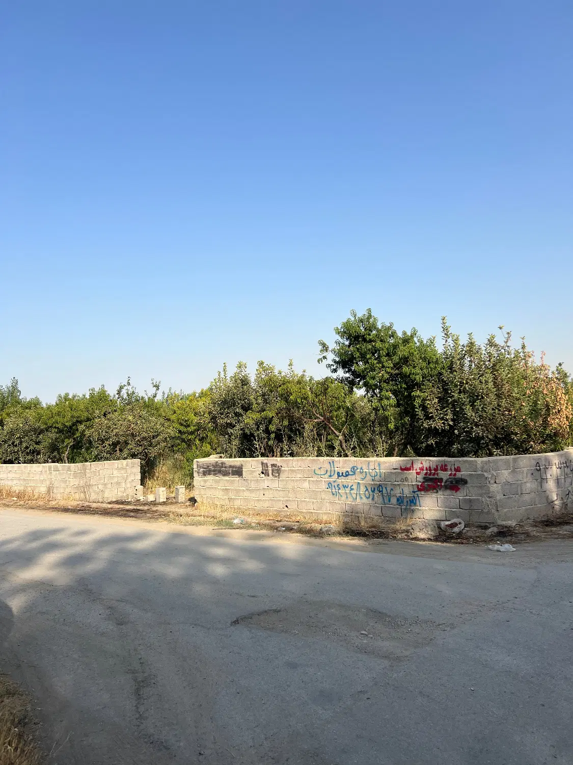 باغ