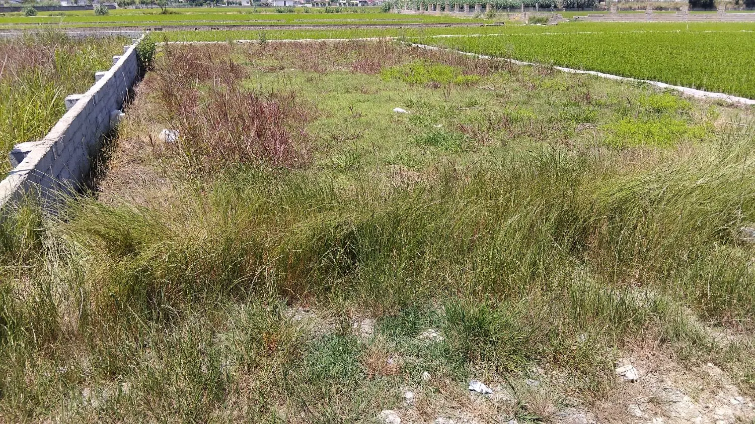 فروش زمین در بابلسر شورک