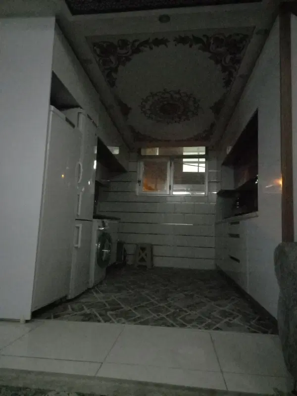 هم خونه خانم مجرد.