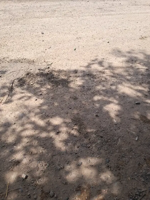 زمینی سند دار در علی آباد خلخال نزدیک جاده اصلی