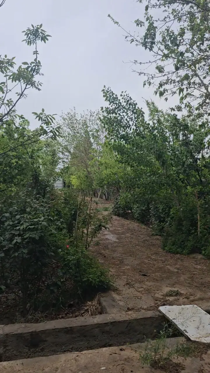 ۱۰۰۰ متر باغچه چهار دیواری فروشی در علی آباد قاجار