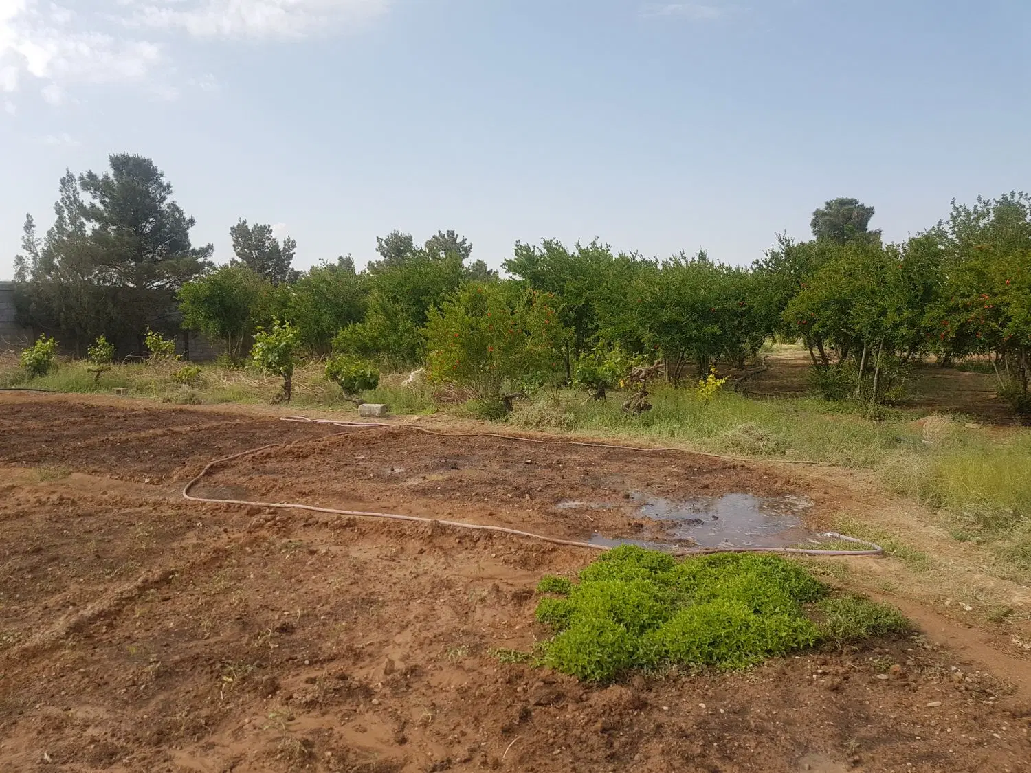 فروش کارخانه آجرنسوز