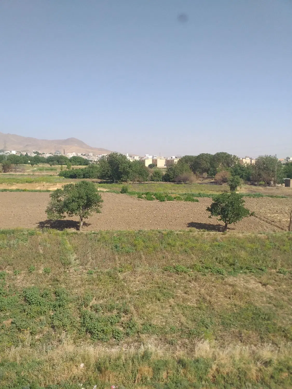 زمین مسکونی تک برگ سند