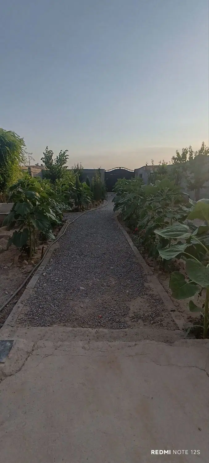 باغچه ۵۰۰ متری