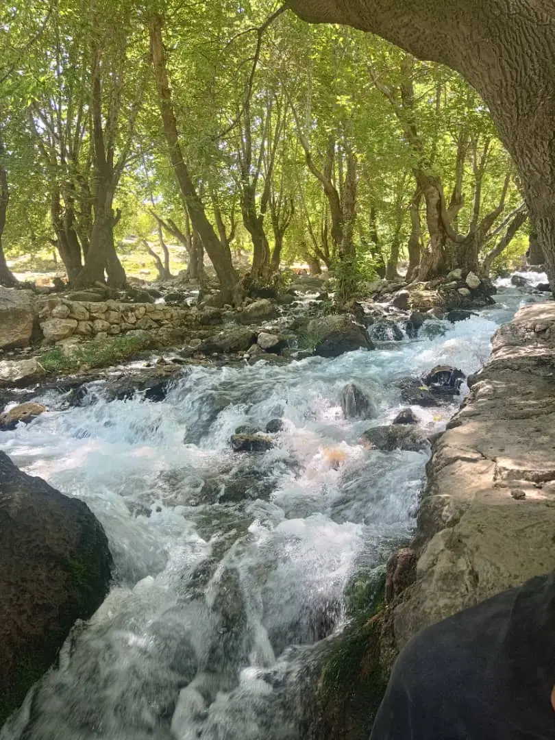 زمین ۲۹۳ در به حیاط کیان اباد